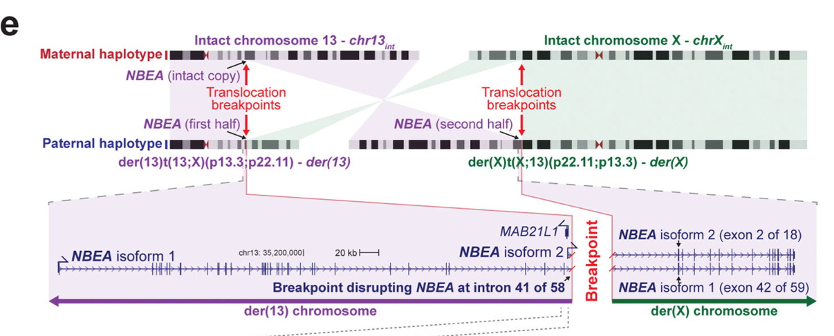 Unlock the Full Potential of Genomics with PacBio HiFi Long‑Read Sequencing