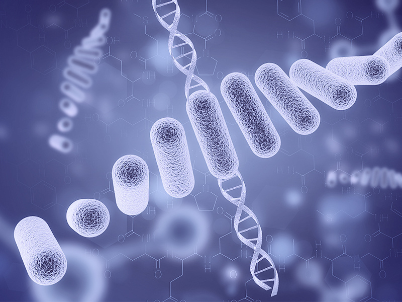 Telomere-to-Telomere (T2T) Genome