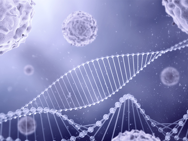 Nanopore Ultra-long Sequencing (PromethION platform)