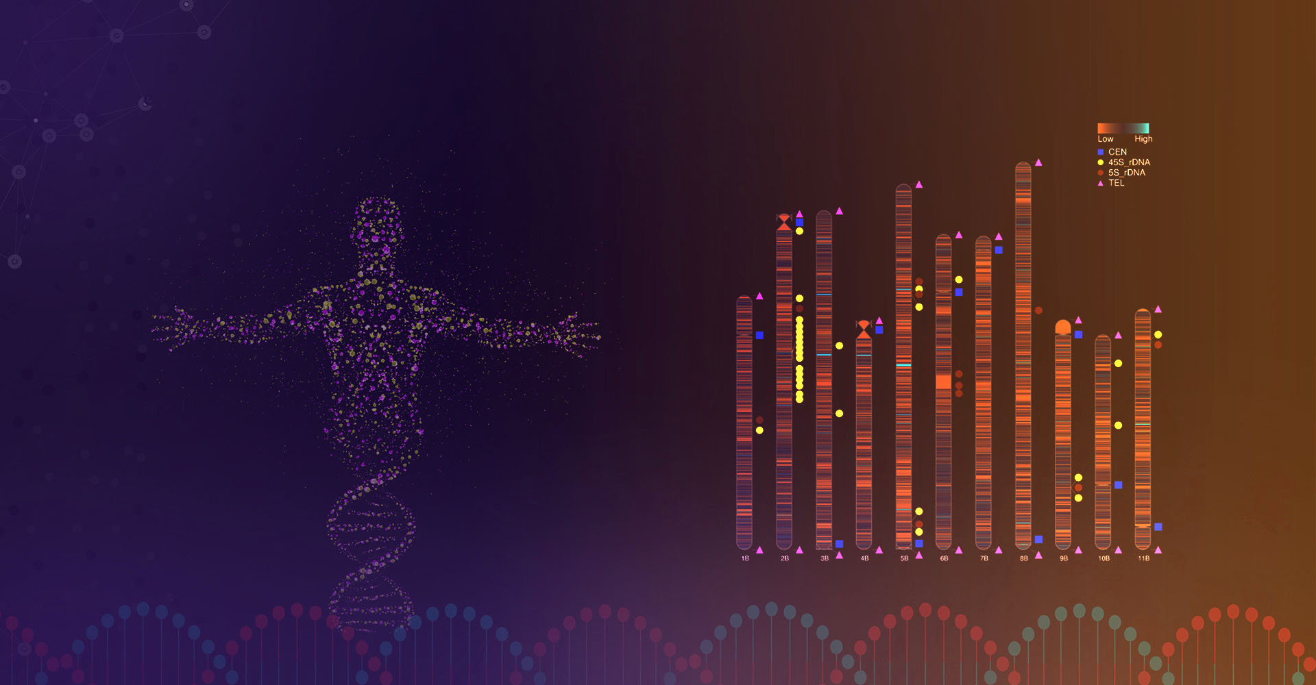 Sailgene Technology