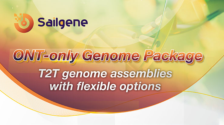 ONT-Only Strategy for T2T Genome Sequencing