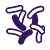 Single Nuclei Suspension Generation Single Nuclei Suspension Generation