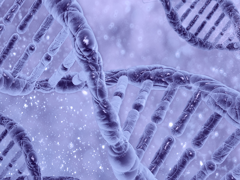 Pan genome