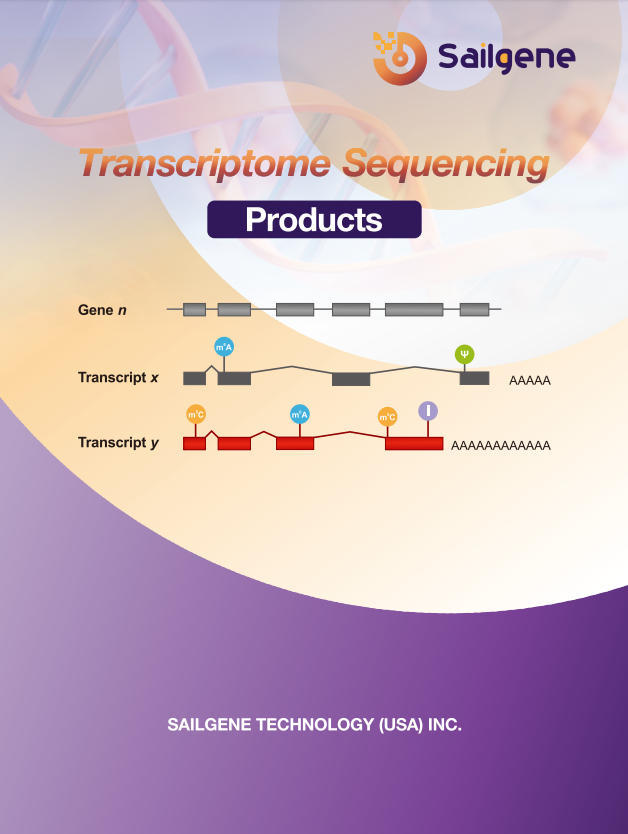 Transcriptome Sequencing Products