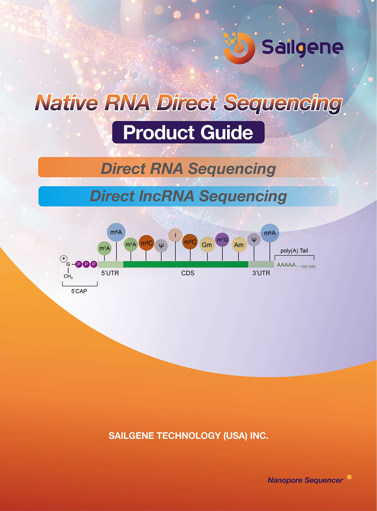 Native RNA Direct Sequencing