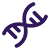 DNA Amplification