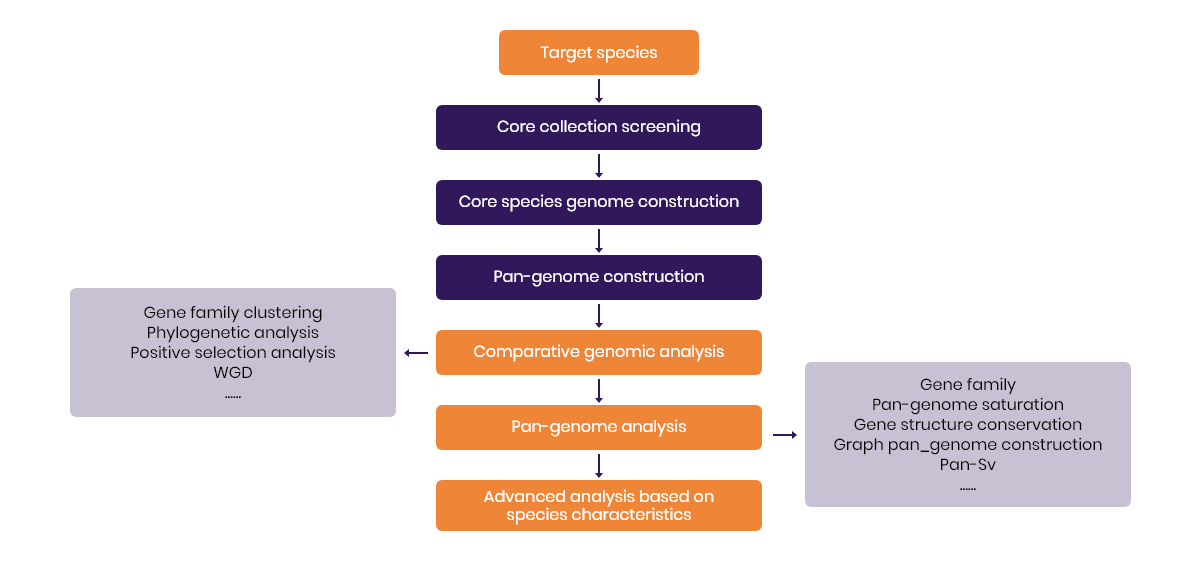 GenomePan genome.png