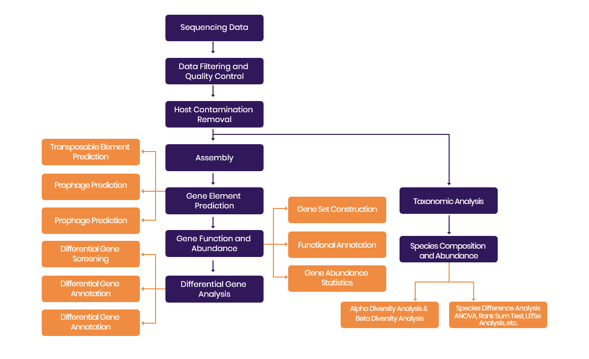 Full-Length Metagenomics.png