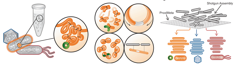 SAILGENE TECHNOLOGY INC. 3327f9cb-376d-4881-879d-770d91ea72e1.png
